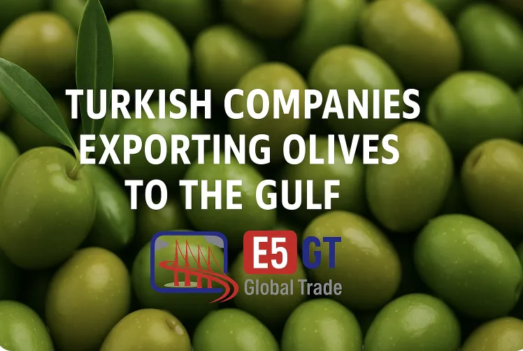 Körfez’e Zeytin İhracatı Yapan Türk Firmaları: 2025 Tedarikçi Listesi ve Dağıtım Noktaları