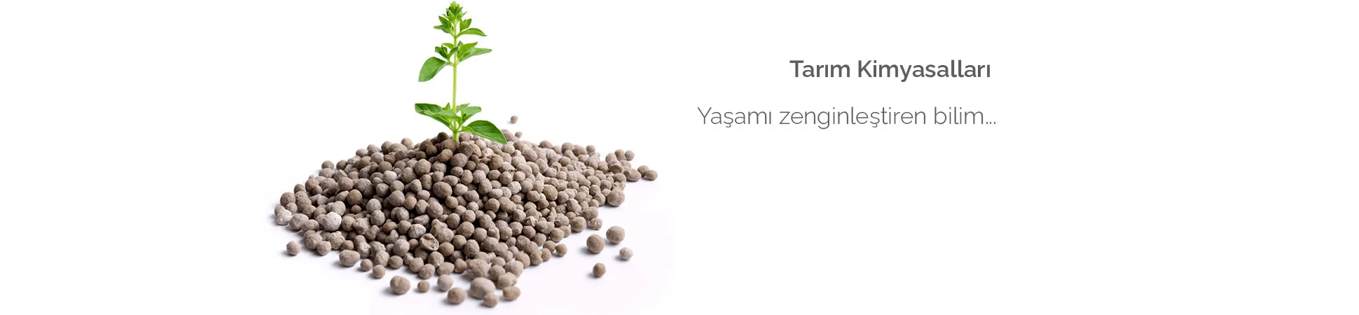 Koray Kimya: 25 Yıldır Kalite Garantisi